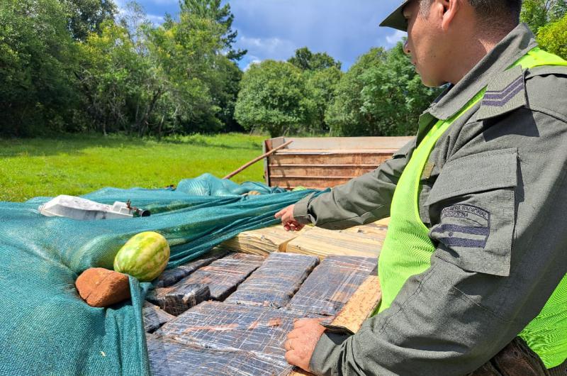 Secuestran maacutes de cuatro toneladas y media de marihuana ocultas entre sandiacuteas y melones