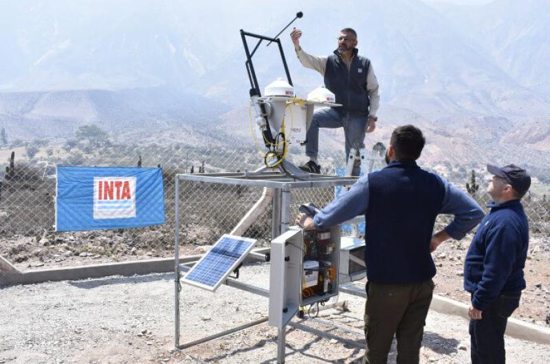 En Jujuy miden la radiacioacuten solar para mejorar el rendimiento de los cultivos