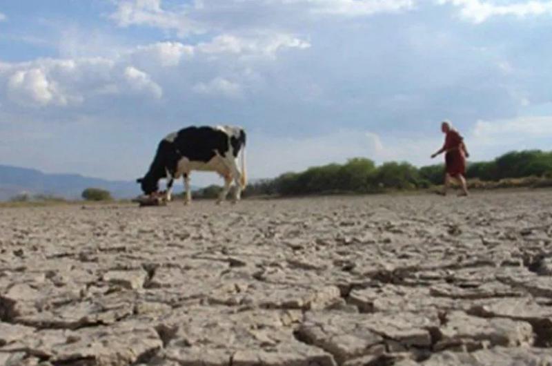 Declararon la emergencia agropecuaria por la sequiacutea en Santa Baacuterbara y el Ramal