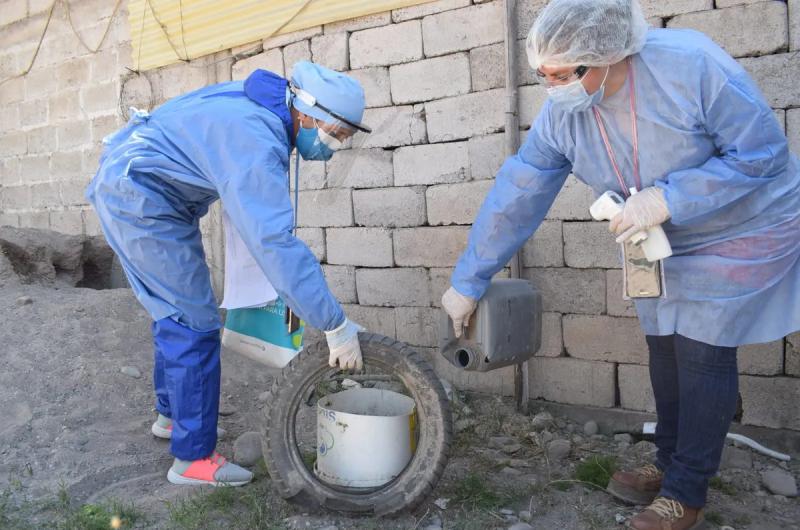 Salud reportoacute tres nuevos casos de dengue en Caimancito y Libertador