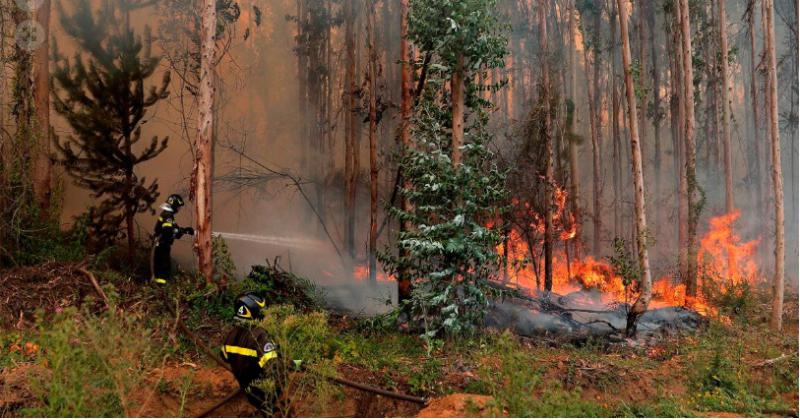 Chile confirmoacute toque de queda en Nuble Biobio y La Araucania