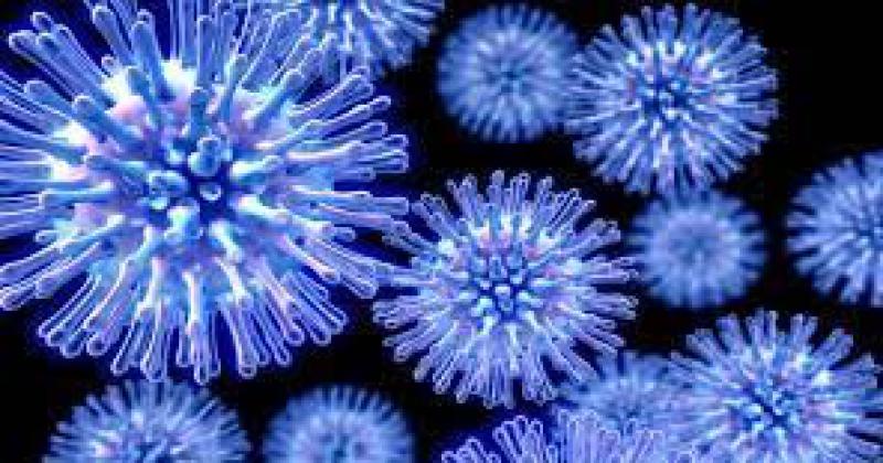 Difundieron recomendaciones para evitar la propagacioacuten del virus 