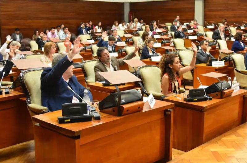 La Legislatura de Jujuy aproboacute el desafuero de la diputada Deacutebora Juaacuterez Orieta