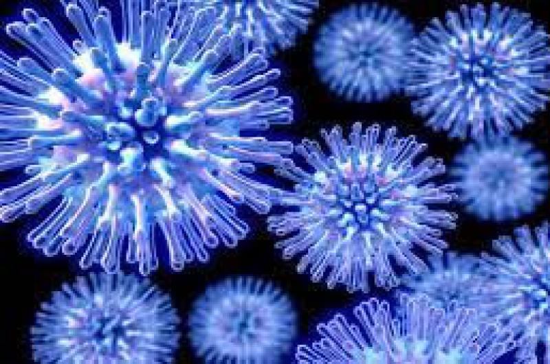 Difundieron recomendaciones para evitar la propagacioacuten del virus 