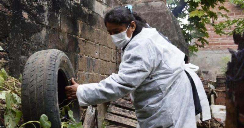 Se elevoacute a 90 la cifra de casos confirmados de dengue en Jujuy 