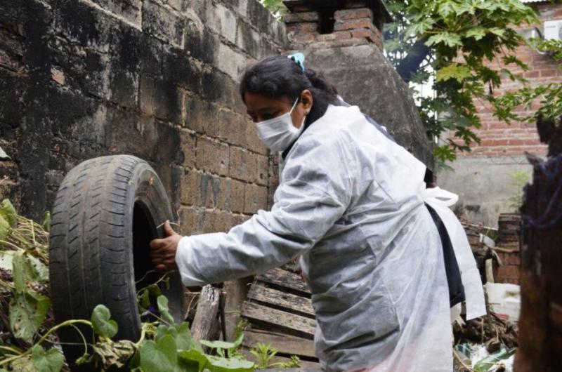 Se elevoacute a 90 la cifra de casos confirmados de dengue en Jujuy 