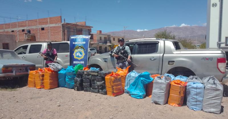 Brigada de narcotraacutefico secuestroacute maacutes de mil kilos de hojas de coca