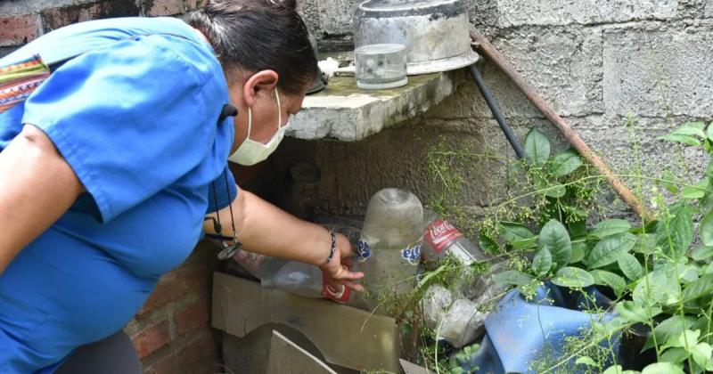 Reportan 54 nuevos casos de dengue y extreman cuidados