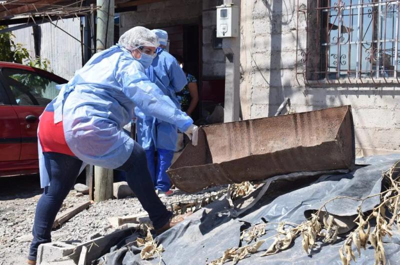 En Alto Comedero y Alberdi se reportaron los casos de dengue