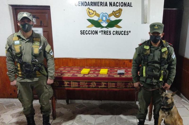 Circulaba en un oacutemnibus con tres kilos de cocaiacutena oculta en su mochila