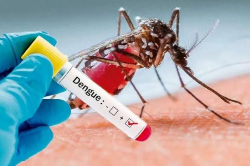 Dos muertes maacutes por dengue en Jujuy