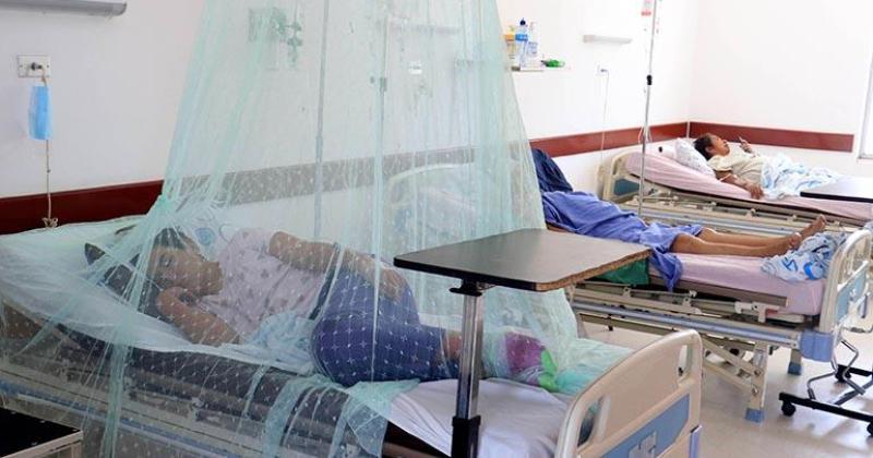 Jujuy registroacute una decena de muertes por casos de dengue 