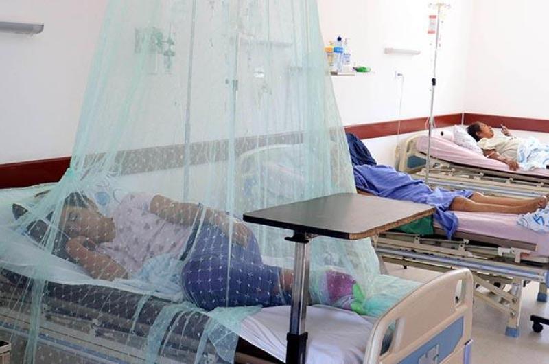 Jujuy registroacute una decena de muertes por casos de dengue 