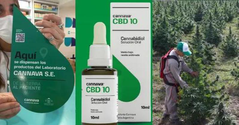 Resultados preliminares de uso de CBD 10 muestran reduccioacuten de crisis epileacutepticas