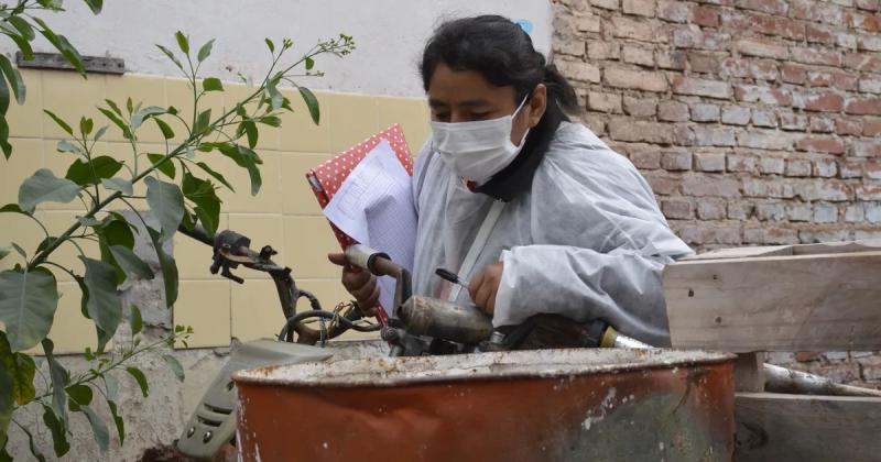 Se registraron 230 nuevos casos de dengue en Jujuy