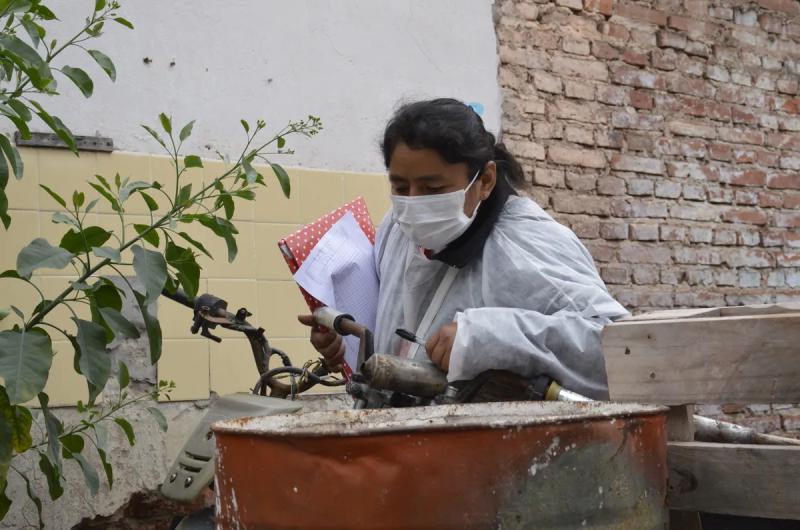 Se registraron 230 nuevos casos de dengue en Jujuy