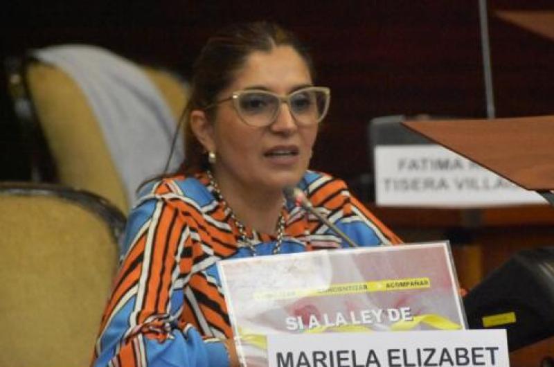 Ferreyra pide la renuncia de Martiacuten por la represioacuten policial en un boliche