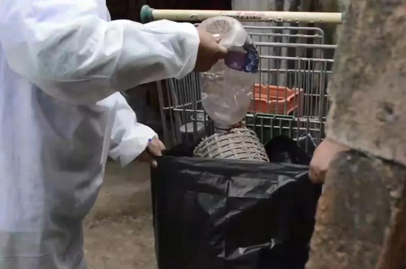 Se registroacute una baja en los casos de dengue en la Provincia- 91 casos 