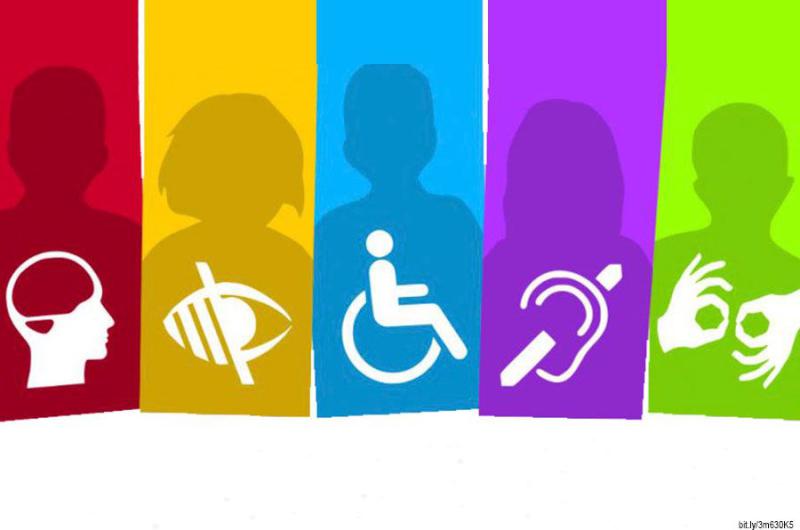 Elaboraron una guiacutea para que se garantice el derecho a emitir su voto a las personas con discapacidad