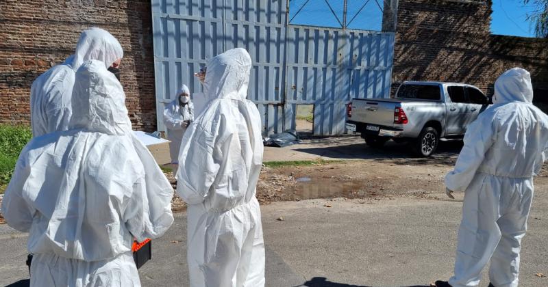 Pactaron una falsa venta y ejecutaron a una miembro de la banda del narco Alvarado