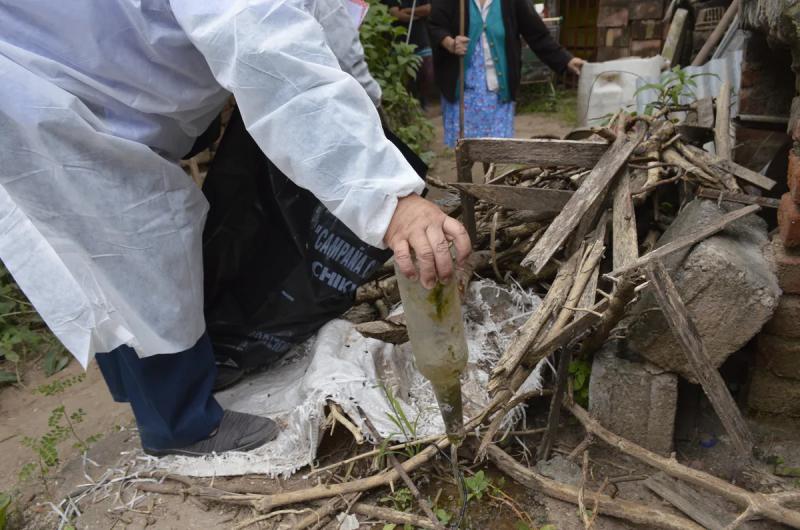 La Provincia registroacute 42 nuevos casos de dengue y se mantiene el descenso 