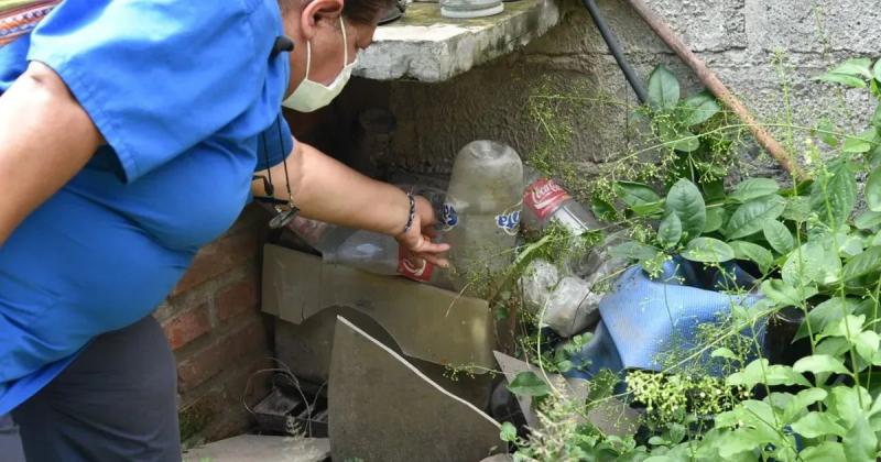 Sanidad de la Provincia confirmoacute 49 nuevos casos de dengue en Jujuy