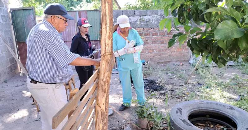 Jujuy sumoacute 3913 de casos de dengue en lo que va del antildeo