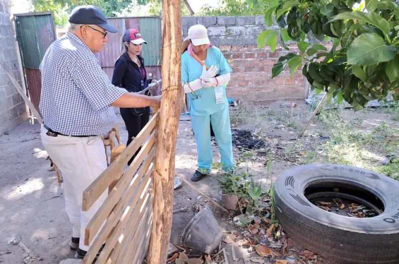 Jujuy sumoacute 3913 de casos de dengue en lo que va del antildeo