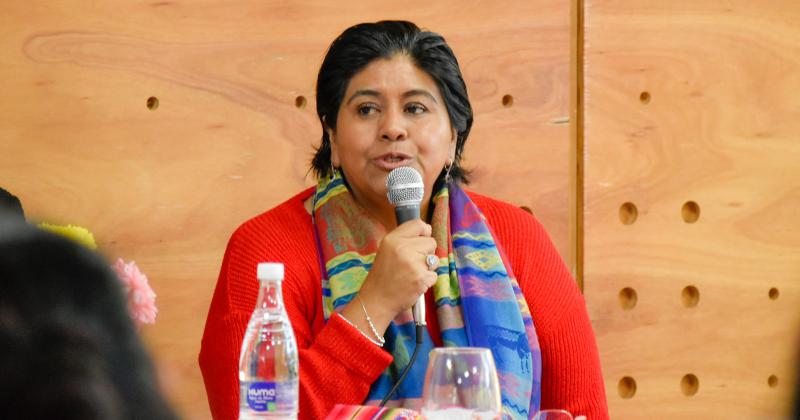 Natalia Sarapura ocuparaacute la vacancia en la Caacutemara de Diputados de la Nacioacuten