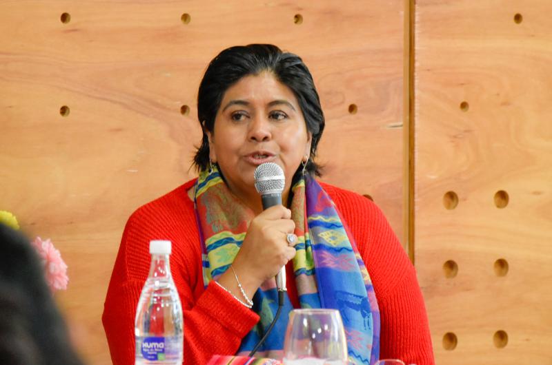 Natalia Sarapura ocuparaacute la vacancia en la Caacutemara de Diputados de la Nacioacuten