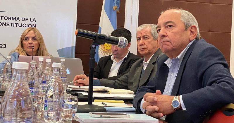 Seguacuten Chaer el peronismo no debe aprobar la reforma constitucional