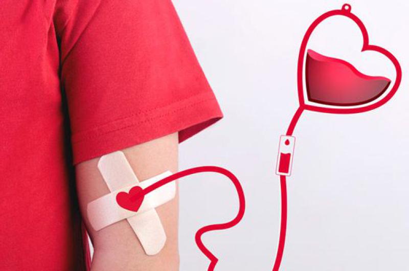 Cruz Roja convoca a jujentildeos a sumarse a campantildea de donacioacuten voluntaria de sangre