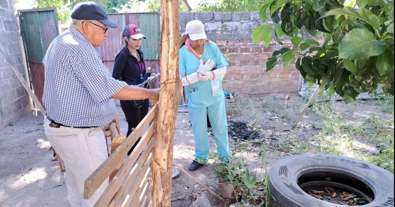 Dos semanas sin casos de dengue en la provincia