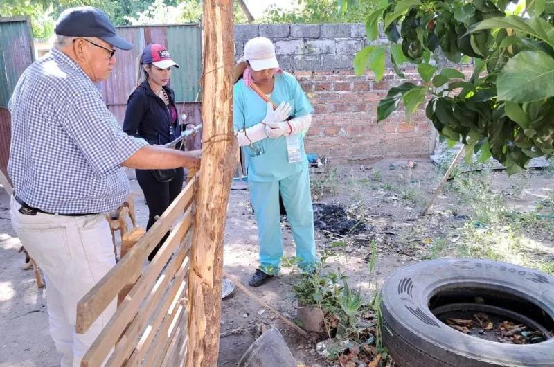 Dos semanas sin casos de dengue en la provincia