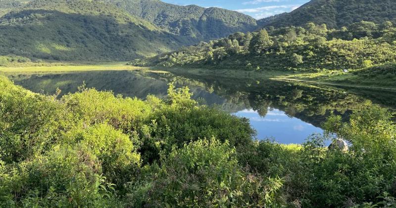 Jujuy recibiraacute maacutes de 145 millones de pesos de fondos de proteccioacuten de bosques nativos