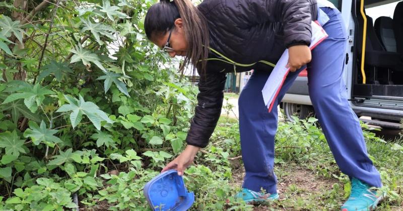 Cuatro semanas sin casos de dengue en Jujuy