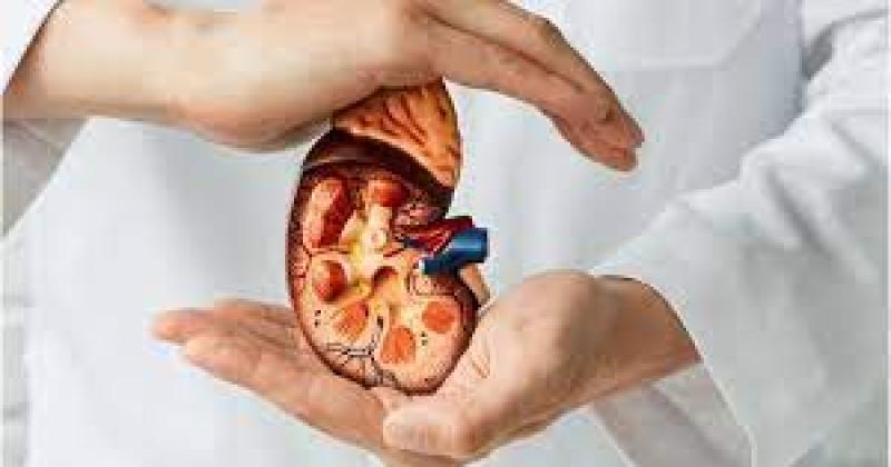 La vulnerabilidad de los pacientes con enfermedad renal