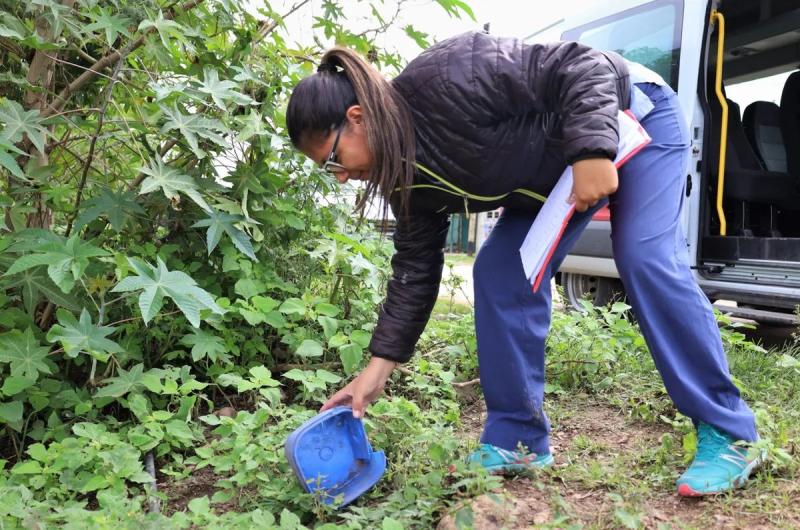 Cuatro semanas sin casos de dengue en Jujuy