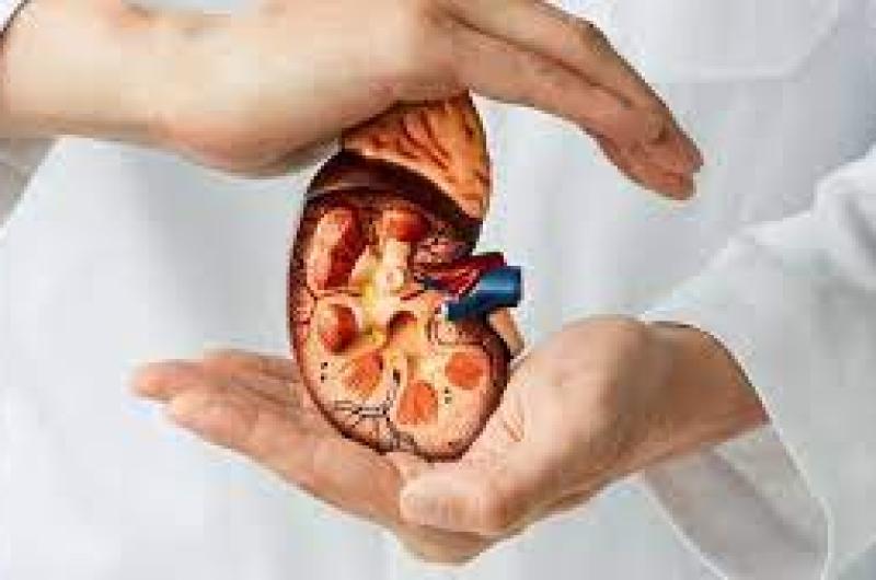 La vulnerabilidad de los pacientes con enfermedad renal