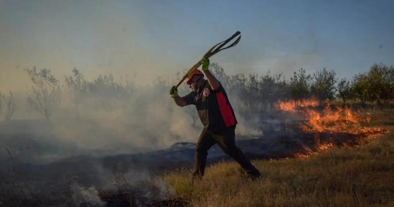 Por el calor y sequiacutea sofocaron casi 50 incendios en las uacuteltimas semanas