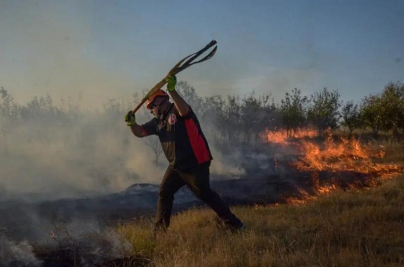 Por el calor y sequiacutea sofocaron casi 50 incendios en las uacuteltimas semanas