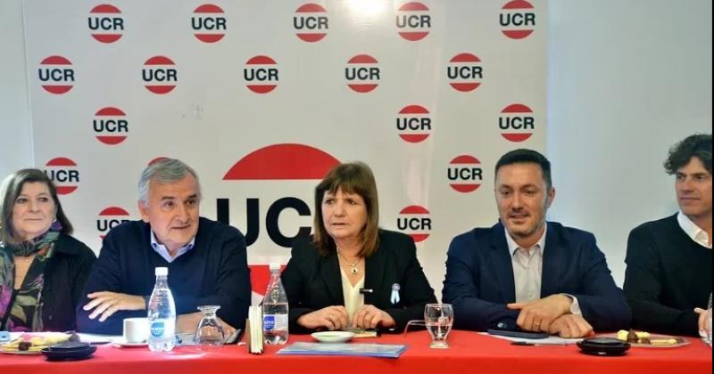 La UCR ratificoacute su respaldoa la candidatura de Bullrich