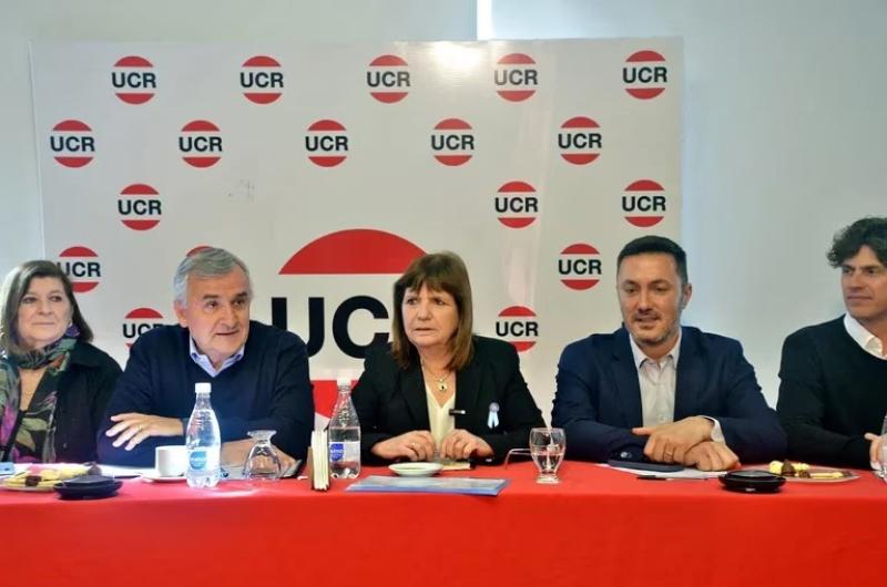 La UCR ratificoacute su respaldoa la candidatura de Bullrich