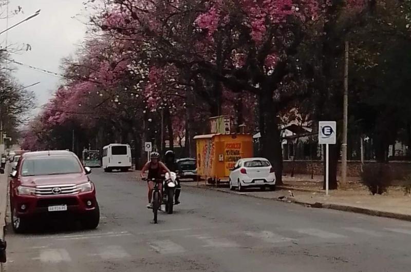 Jujuy tiene representantes en Triatloacuten para los Juegos Evita