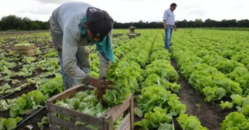 Se eliminaraacuten las retenciones a las economiacuteas regionales 