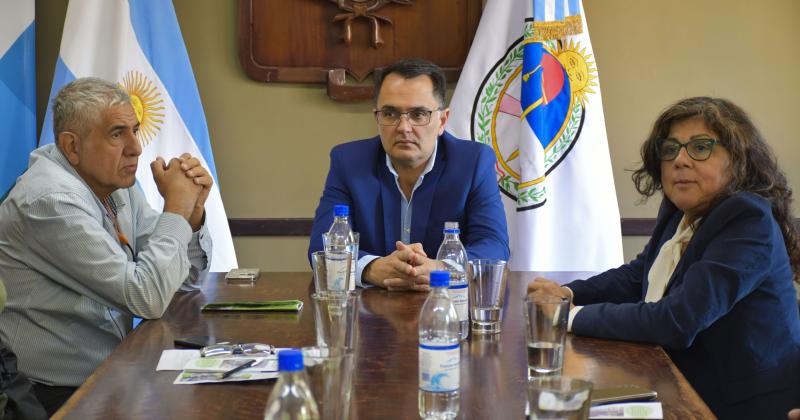 Presentaron avances de un proyecto de ampliacioacuten del arbolado en la ciudad