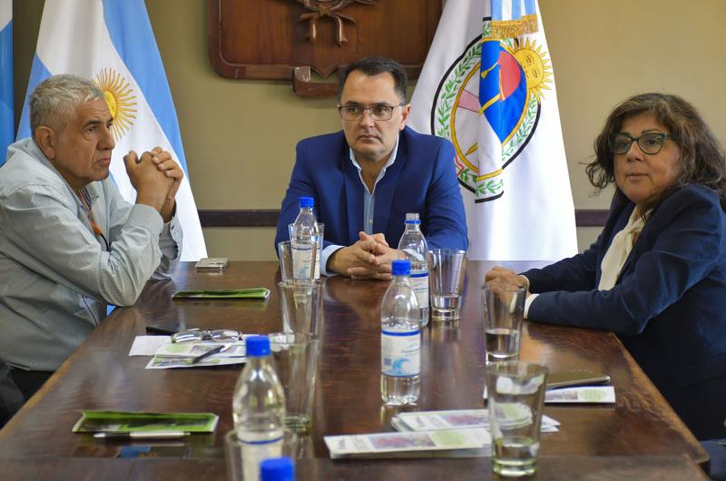 Presentaron avances de un proyecto de ampliacioacuten del arbolado en la ciudad