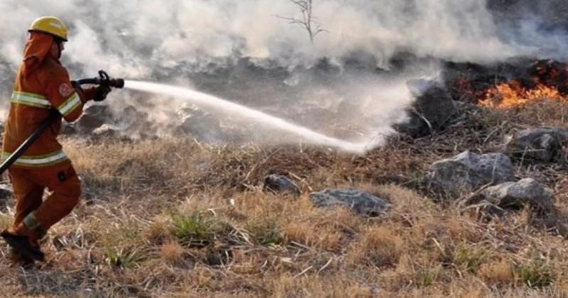 Ledesma registroacute el uacutenico incendio forestal activo del paiacutes