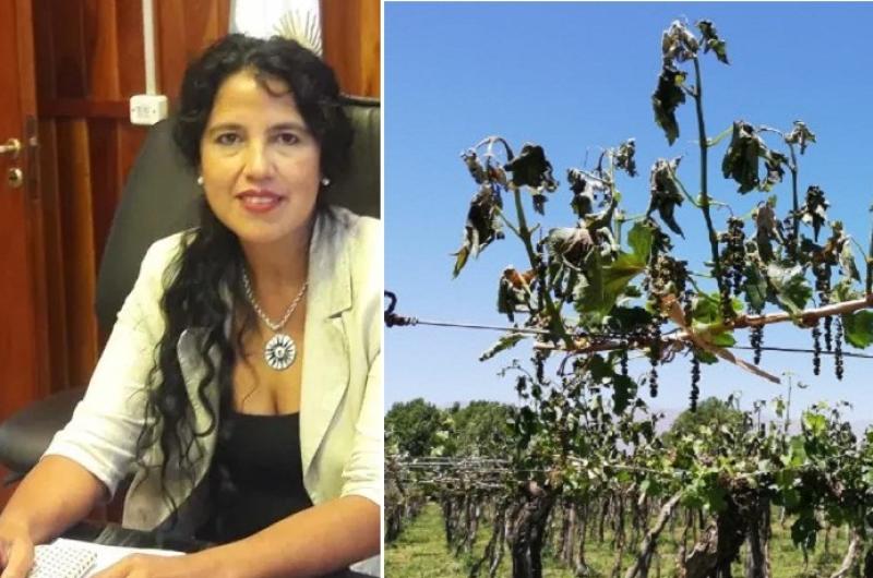 El Gobierno entregaraacute 15 millones a fruticultores afectados por heladas