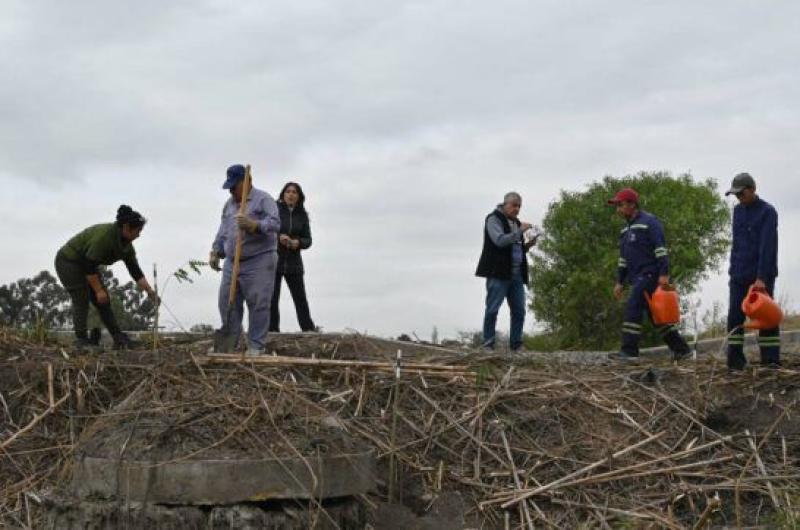 Trabajan en un importante proyecto para restaurar el bosque nativo de la ciudad